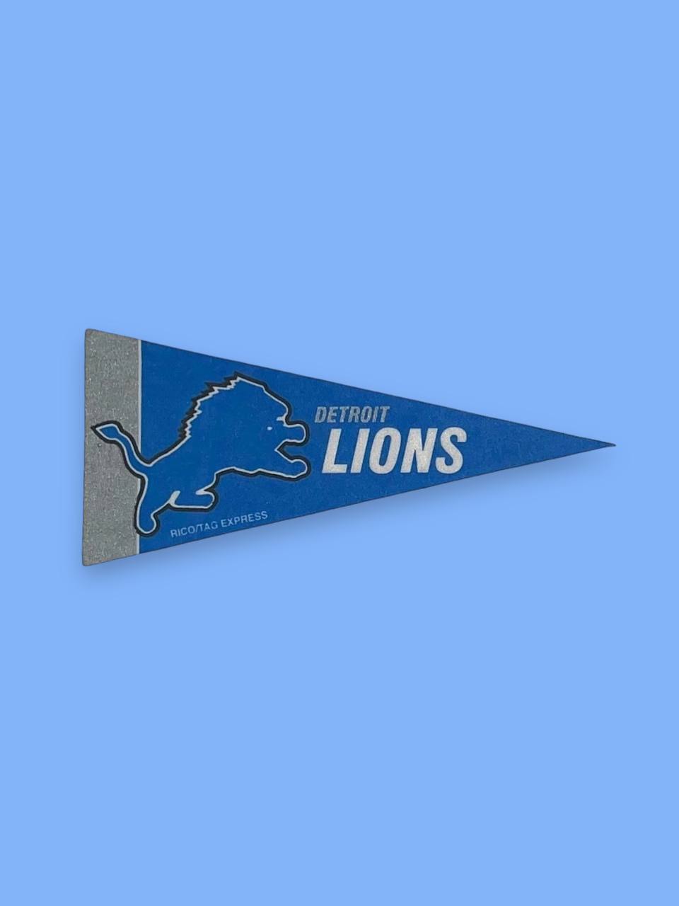 Мини вымпелы (23см) Detroit Lions